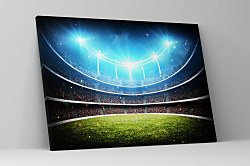 Obraz Futbalový štadión zs1084